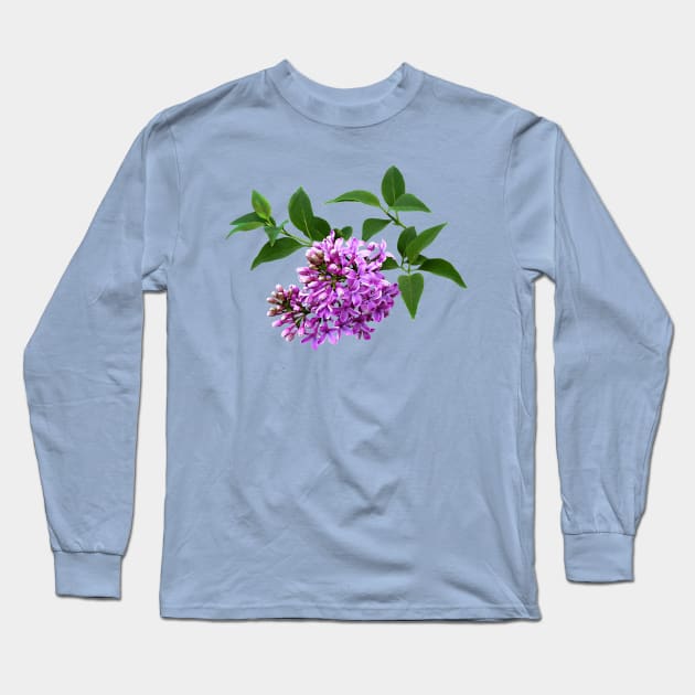 Lovely Lilacs Long Sleeve T-Shirt by SusanSavad